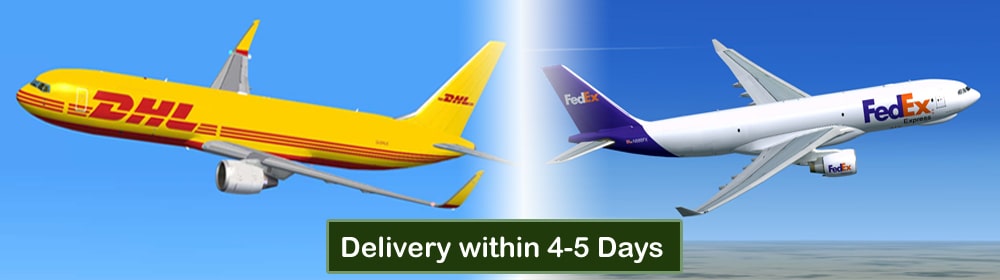 Shipping Via DHL or FedEx