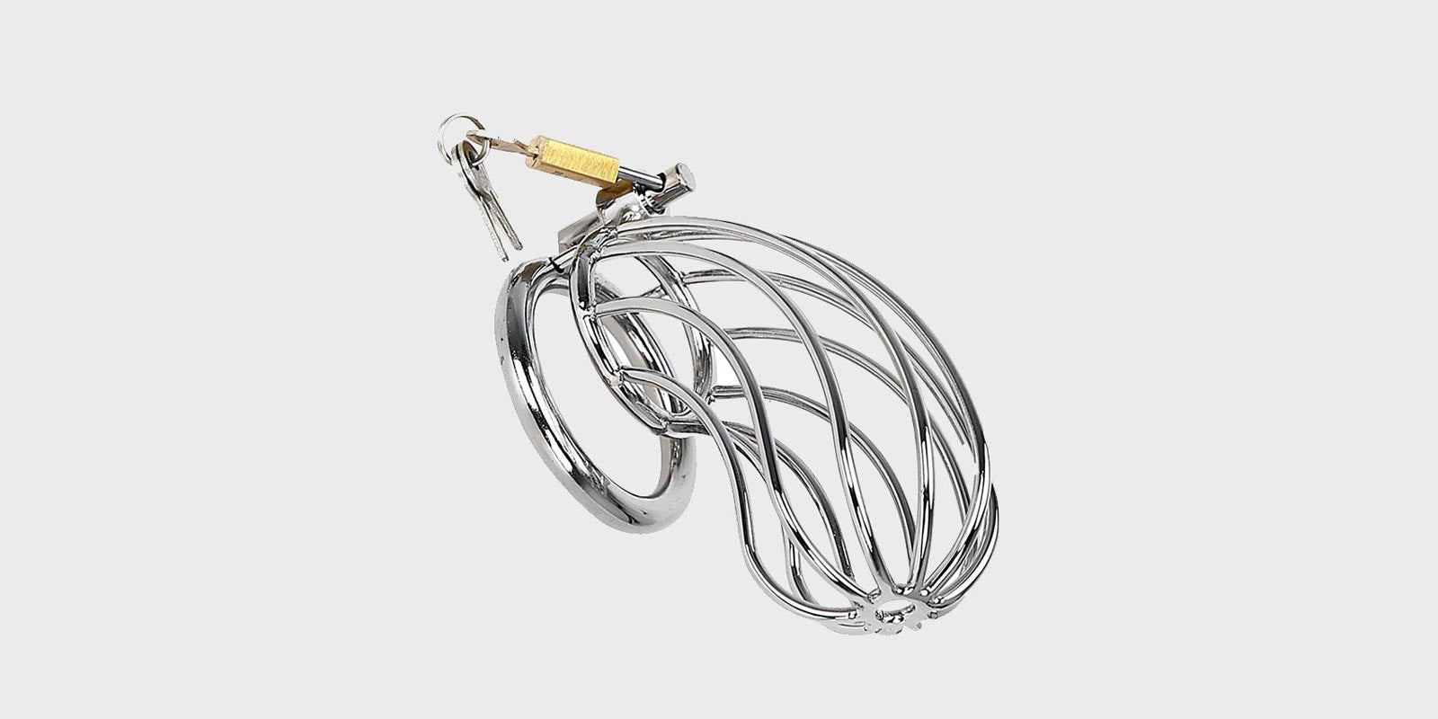 A steel chastity cage known as the bird cage
