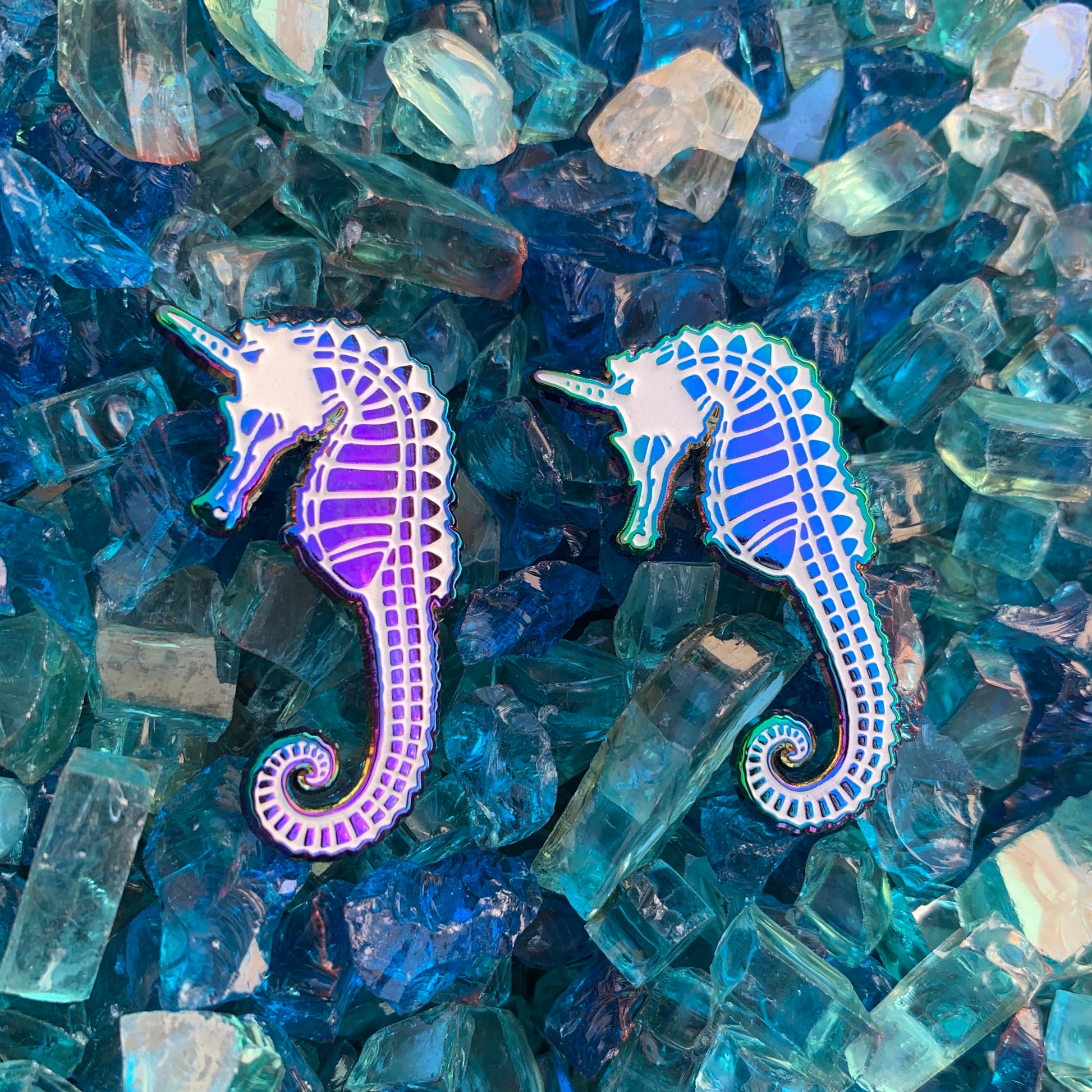 rainbow seahorses