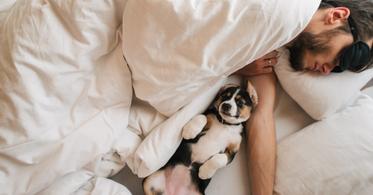 should you sleep with your dog