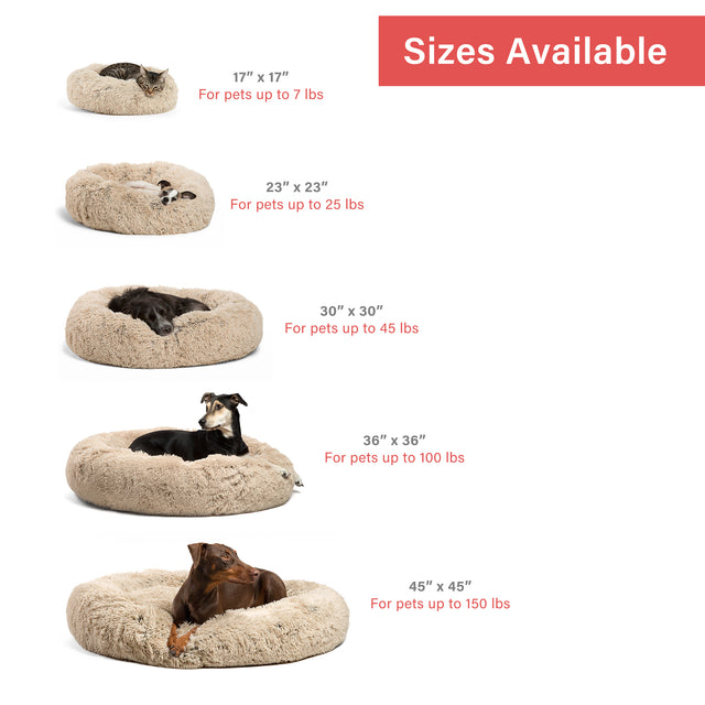 pet soothing bed reviews