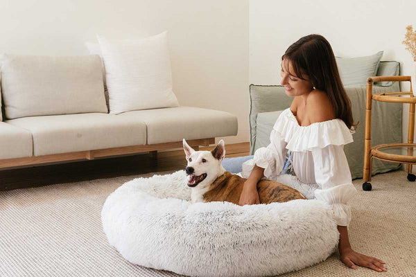 woman next to dog on a dog bed