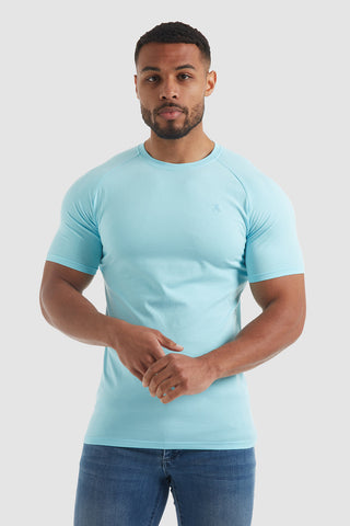 best fitted blank t shirts
