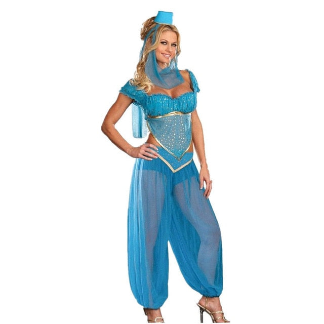 Plus Size Aladdin Goddess Genie Jasmine Princess Costume