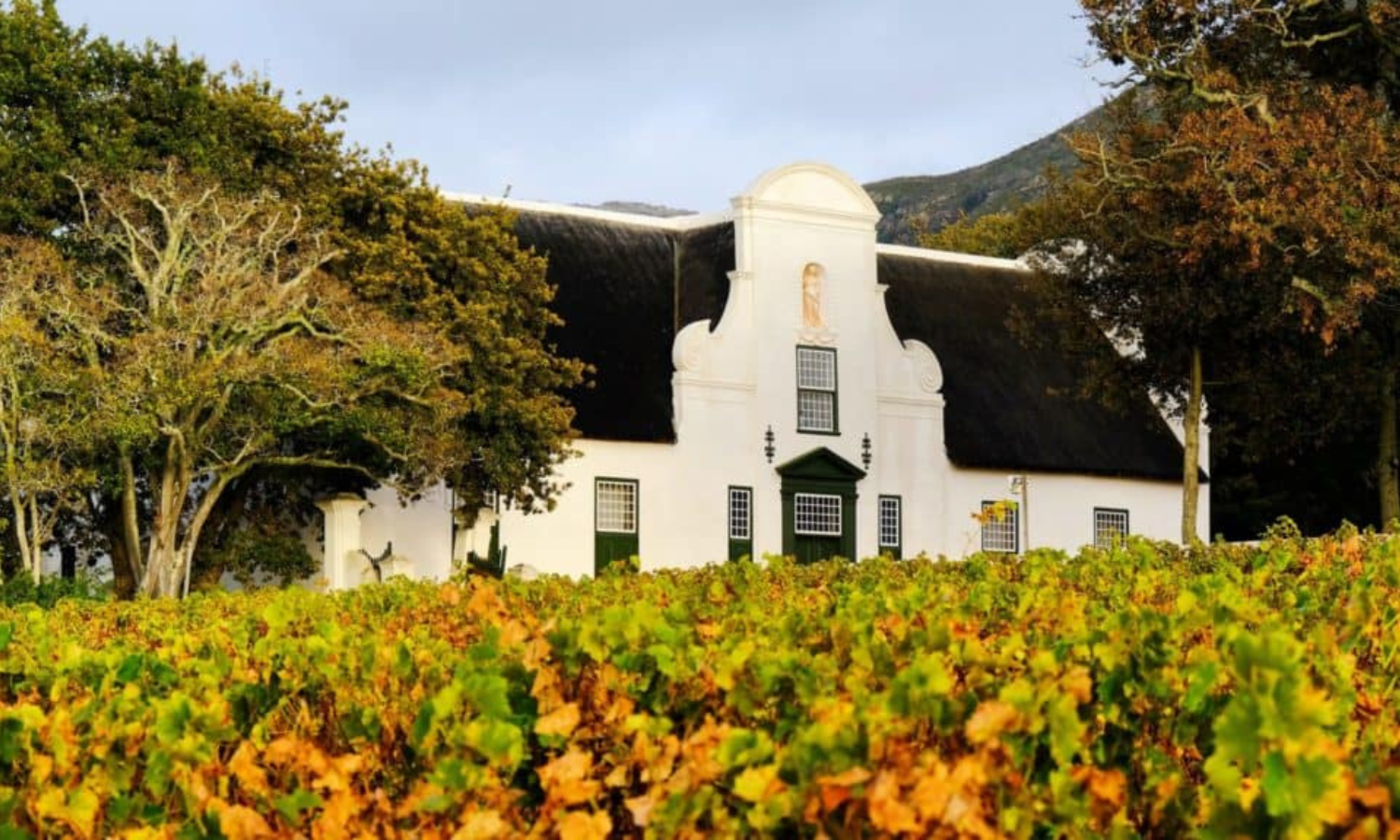 Groot Constantia