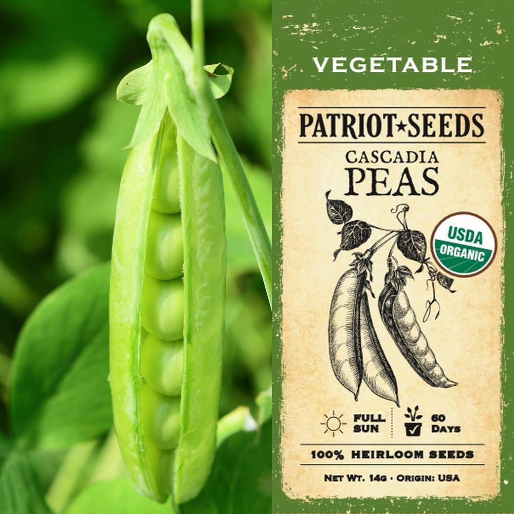 Cascadia Pea Seeds (14g) – Patriot Seeds