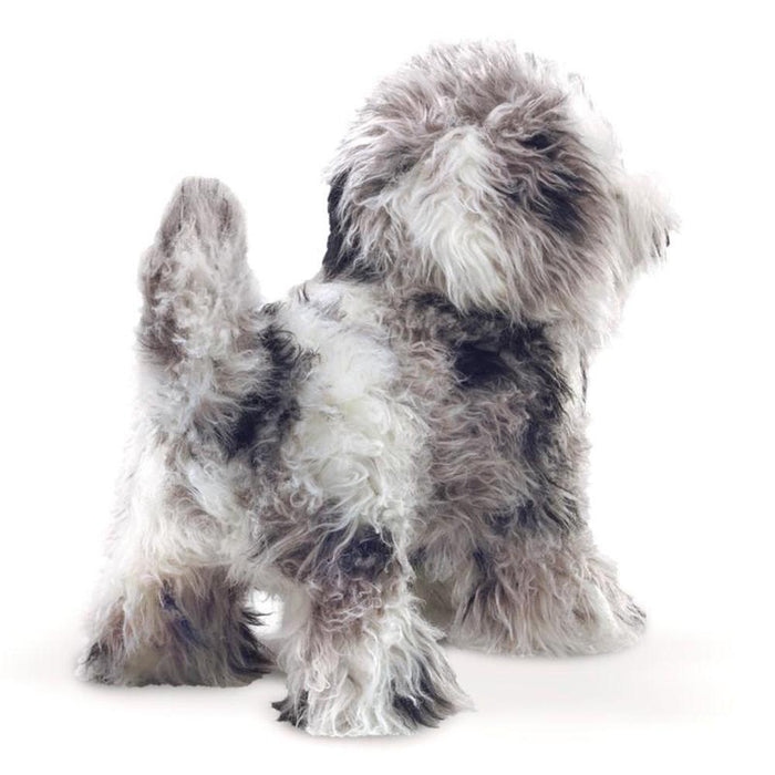 Shih Tzu Puppy By Folkmanis Puppets 3143 Fumble Pop