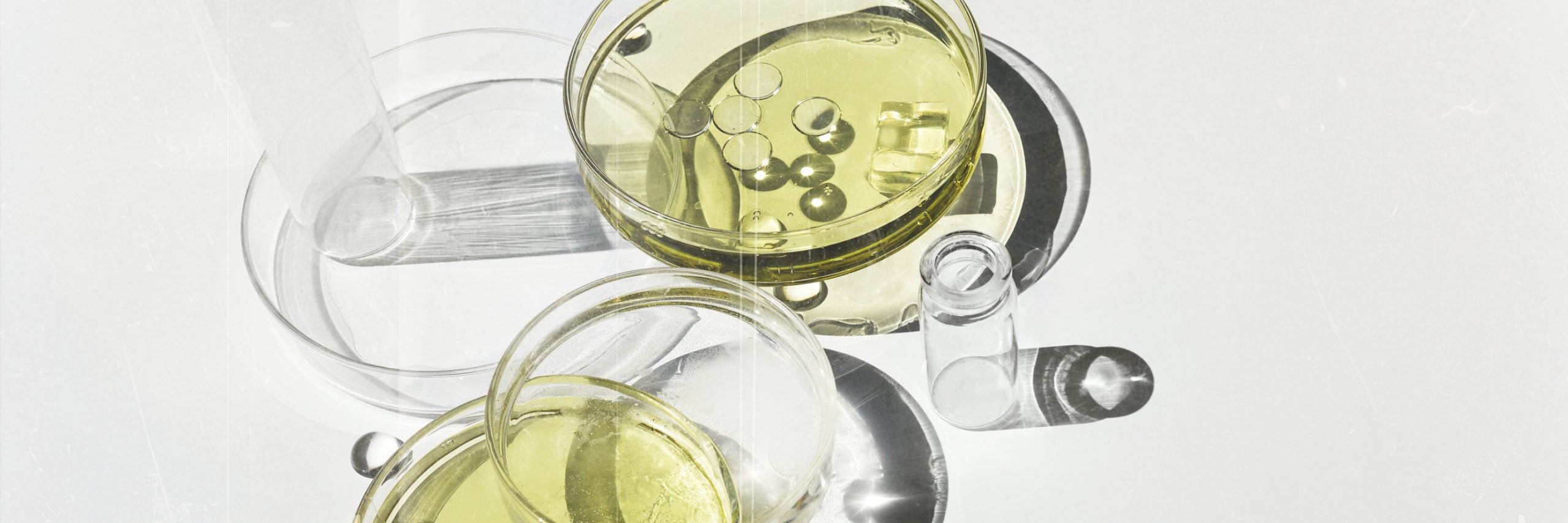 Skincare ingredients in petri dishes