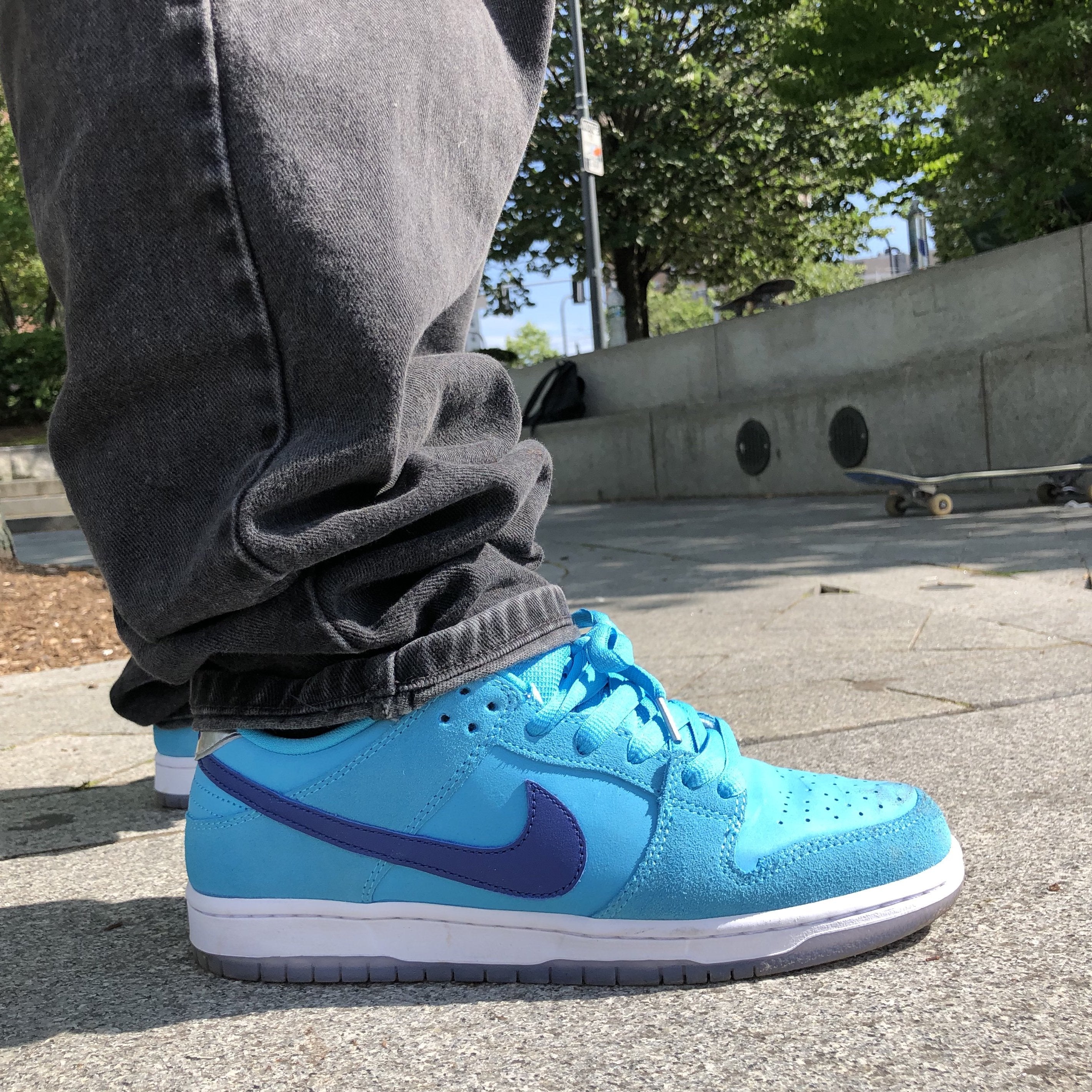 blue fury dunk low