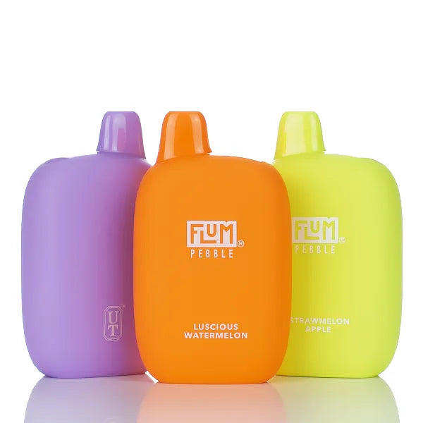 Flum Pebble 6000 Puffs Rechargeable Disposable Vape - 14ML - VaporDNA product image