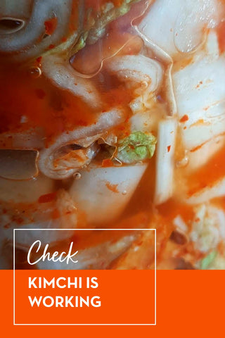 how to check homemade kimchi is working and safe to eat