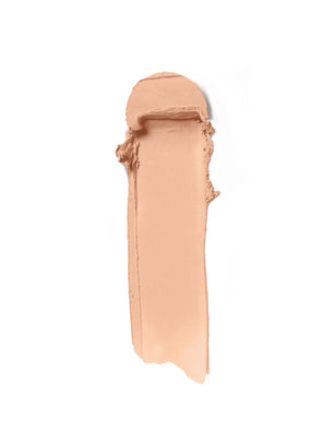 Skin Rewind Complexion Stick - Aspen 6N