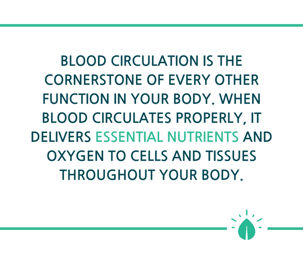 Blood circulation is the key to skin health and vitality