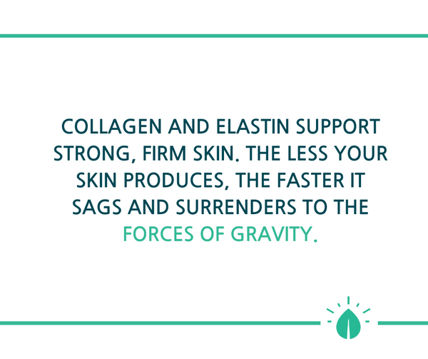 Collagen and elastin are essential for beautiful skin