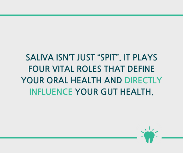 Saliva directly impacts your gut health
