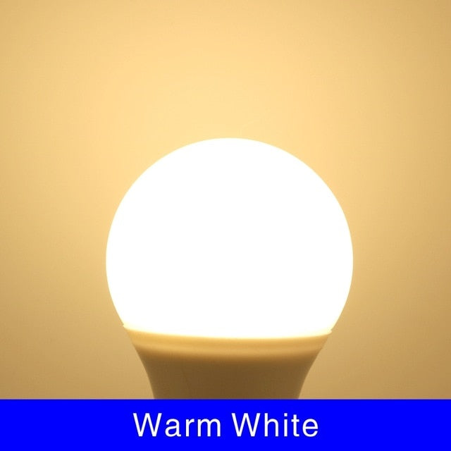 Misbruik markt deksel E27 E14 LED Bulb Lamps 3W 6W 9W 12W 15W 18W 20W Lampada LED Light Bulb –  Optimal Flock