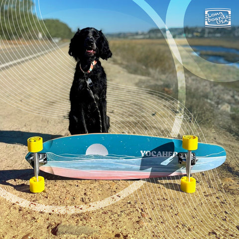 yocaher horizon longboard with dog