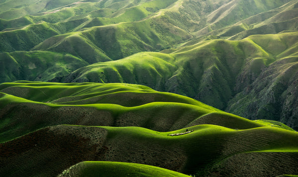 Green mountains