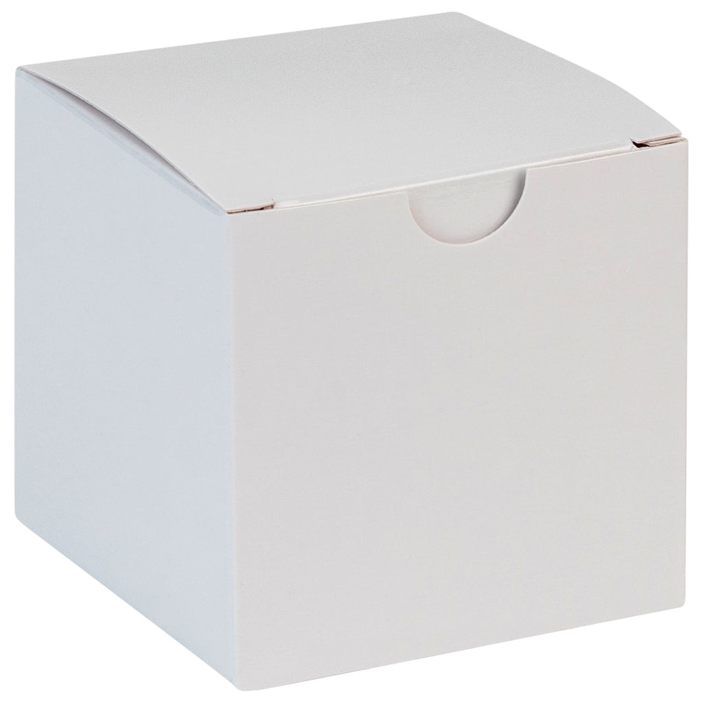 White Gloss Gift Bags, Cub 8x4x10, 100 Pack