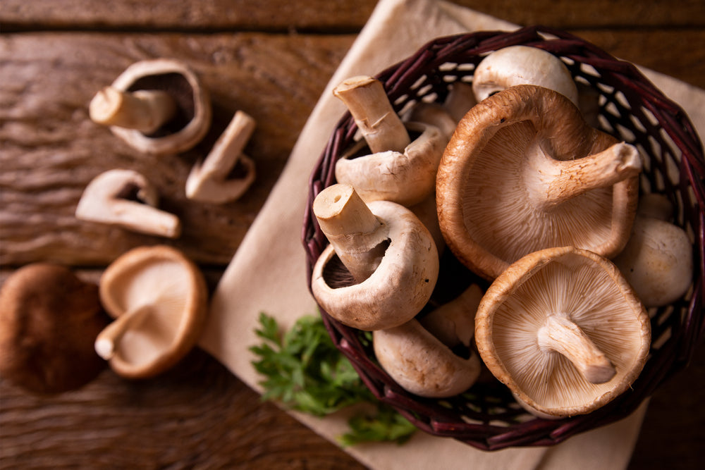 SHITAKE, SHIMEJI E CHAMPIGNON – VegMag