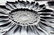 Load image into Gallery viewer, Sunflower Mould by Iron Orchid Designs