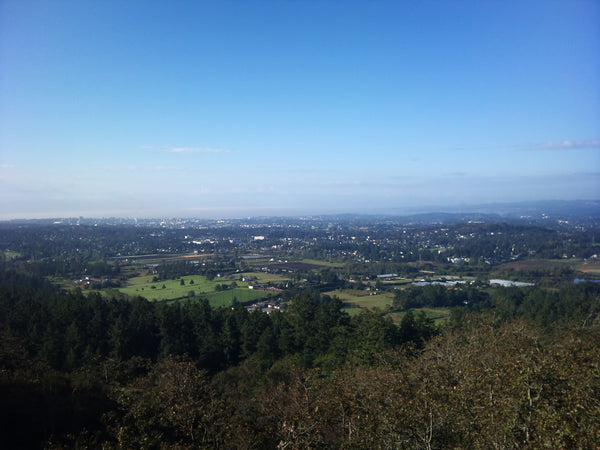 Jane Richmond Blog - hike up mt doug