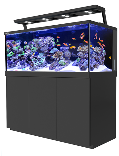 Red Sea Desktop Peninsula with Cabinet - Black or White - SPECIAL ORDE –  Aquariums West