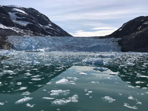 Cientificos advierten que el hielo de Groenlandia se reduce rápidamente.