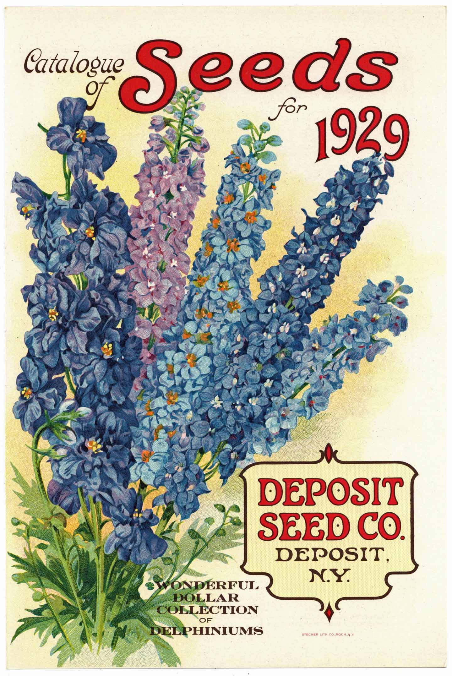 Vintage Seed Packets 1900-1940 – Page 6 – thelabelman