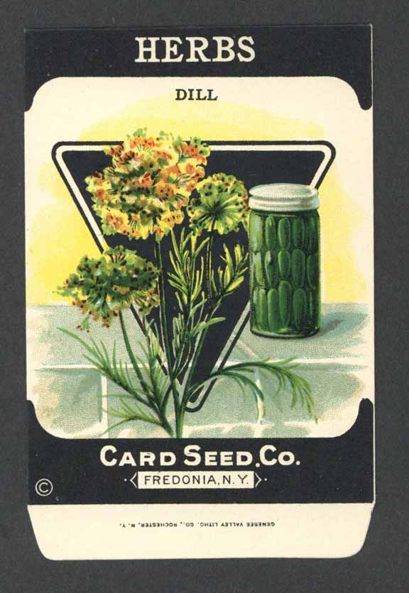 Herbs Antique Card Seed Co. Packet, Dill – thelabelman