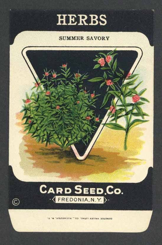 Herbs Antique Card Seed Co. Packet, Summer Savory – thelabelman