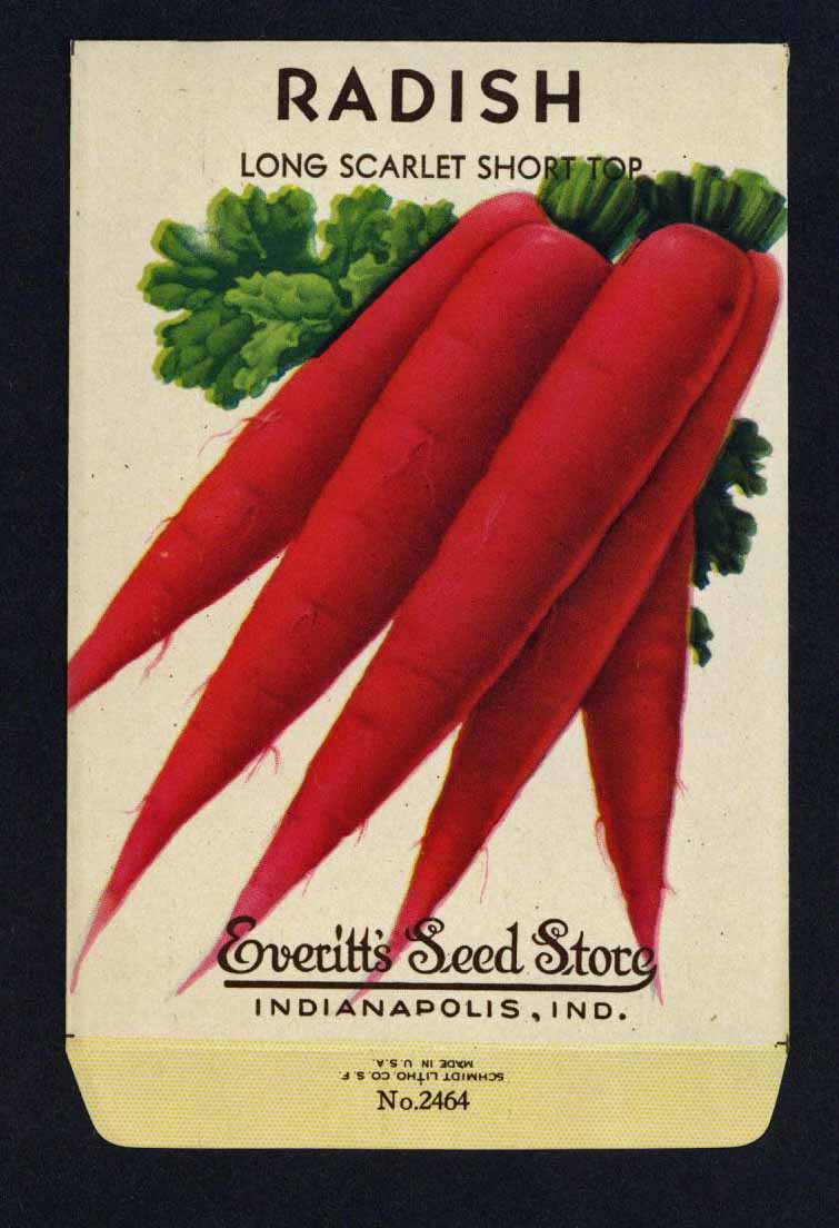 Radish Vintage Everitt's Seed Packet, Long Scarlet