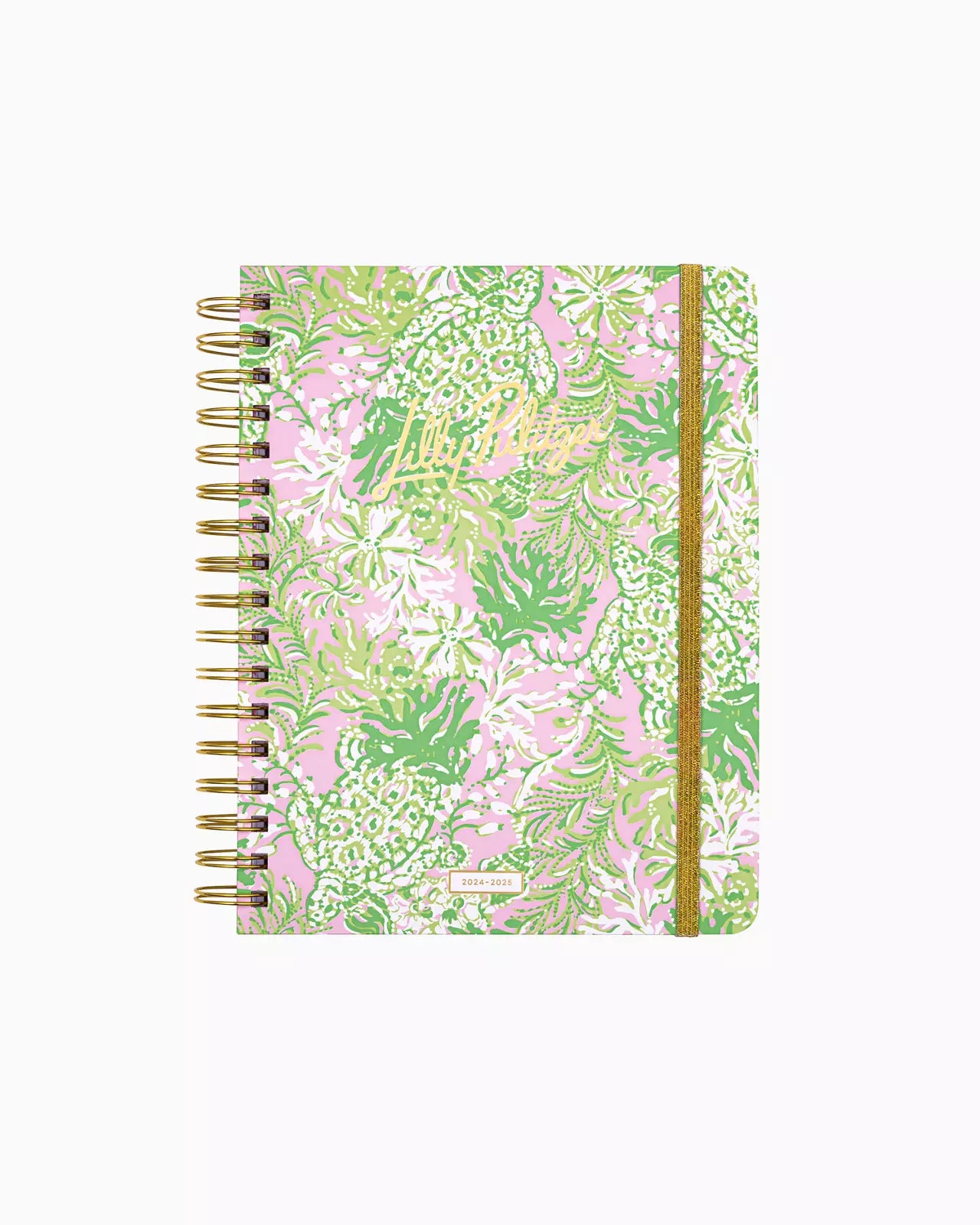 Large 17 Month Agenda, Beach Cruiser 2024-2025