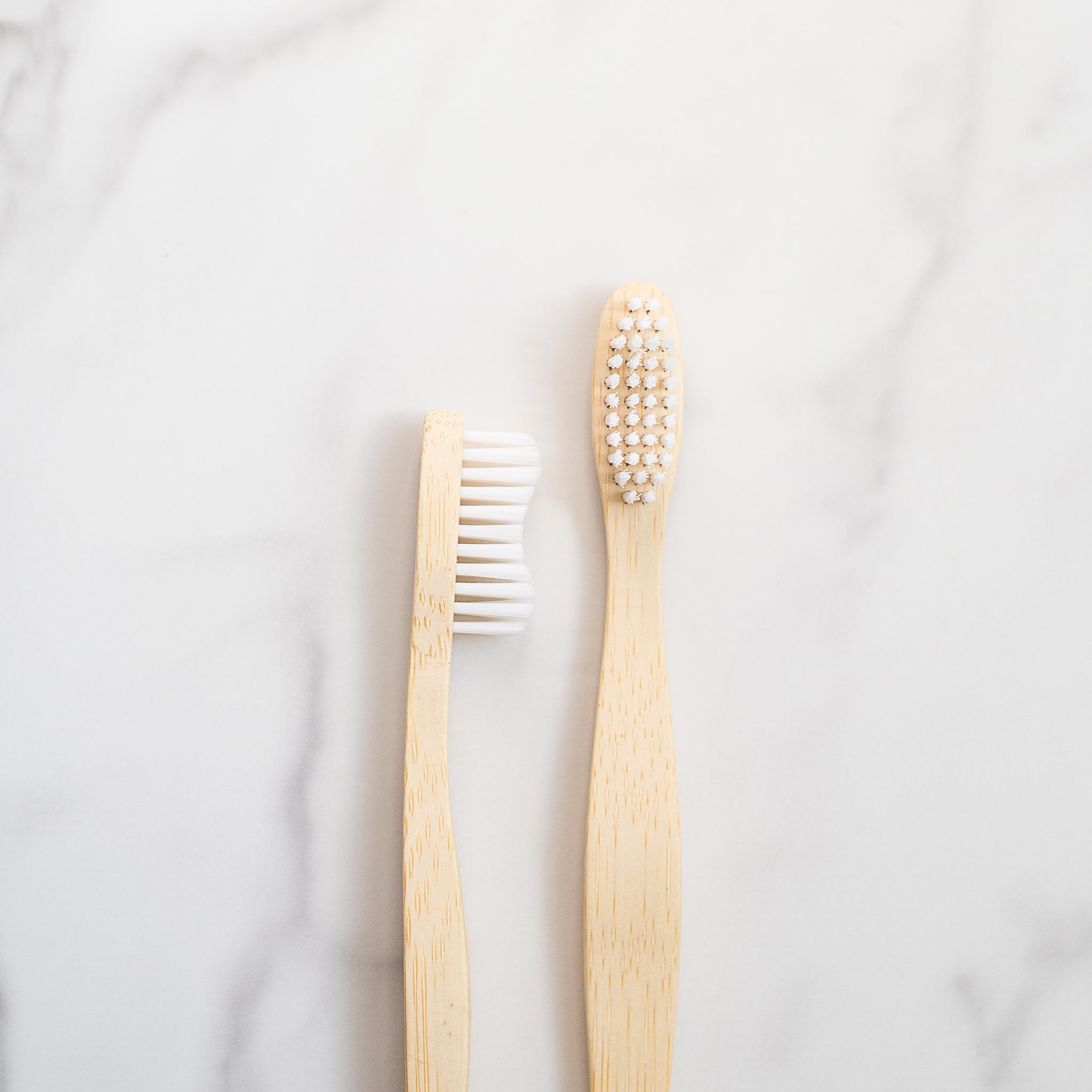 Plastic Free Wooden Dish Brush Head | Free The Ocean Brush and Head