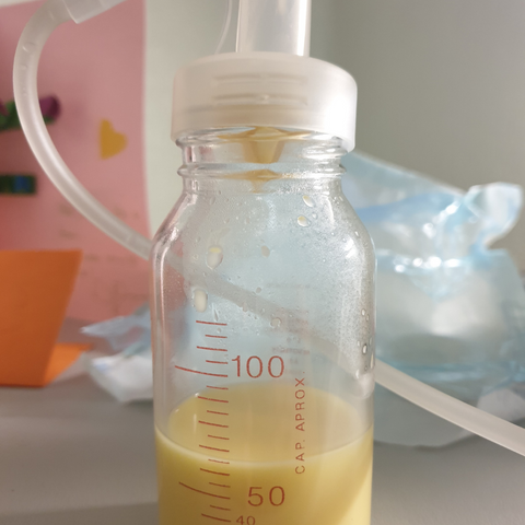 colostrum is incredibly nutrient-rich and thicker than normal breastmilk