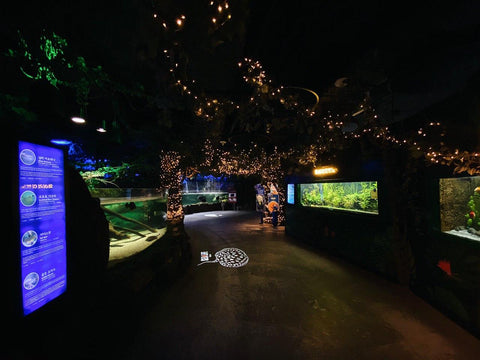 Busan Sea Life Aquarium