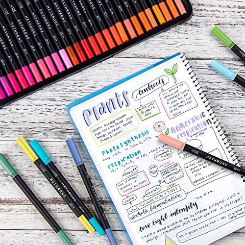 Hethrone Dual Brush Art Pens Markers Felt Tip Pens (100 Colors) – HETHRONE