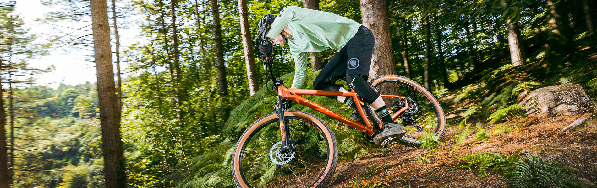 whyte 529 29er 2019