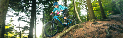 E-160 RS u2013 WHYTE BIKES