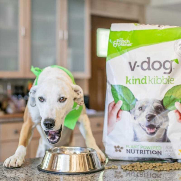Do Vegan Dogs Get Enough Protein? – V-dog