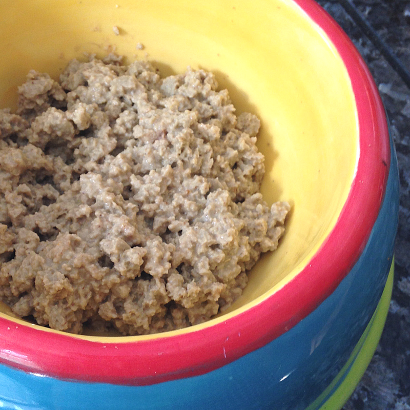 homemade wet food for dogs