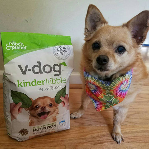 vegetable based dog food