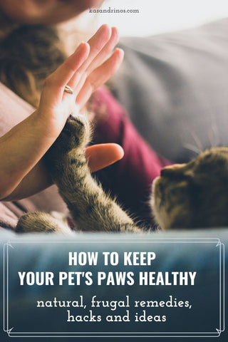 A cat high 5-ing a human. How to keep your pets paws healthy