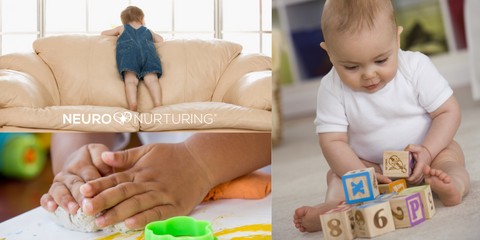 Brain Development, Play Learning Neuro-Nurturing