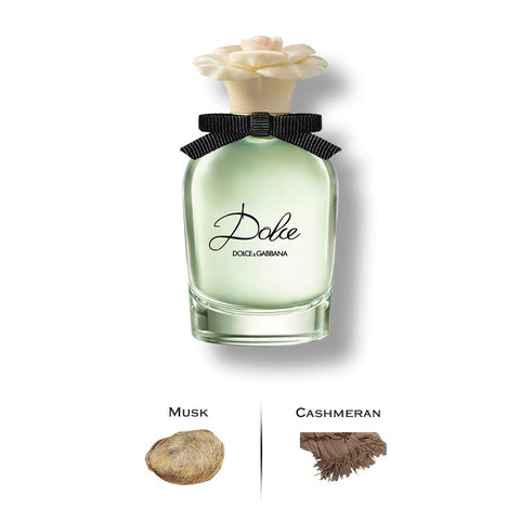 DOLCE & GABBANA – Luxury Perfumes