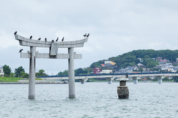 Fukuoka, Japan, Mozzis, top 10 cities to visit in Japan