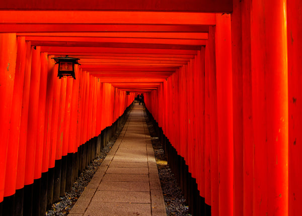 Kyoto, Japan, Mozzis, top 10 cities to visit in japan