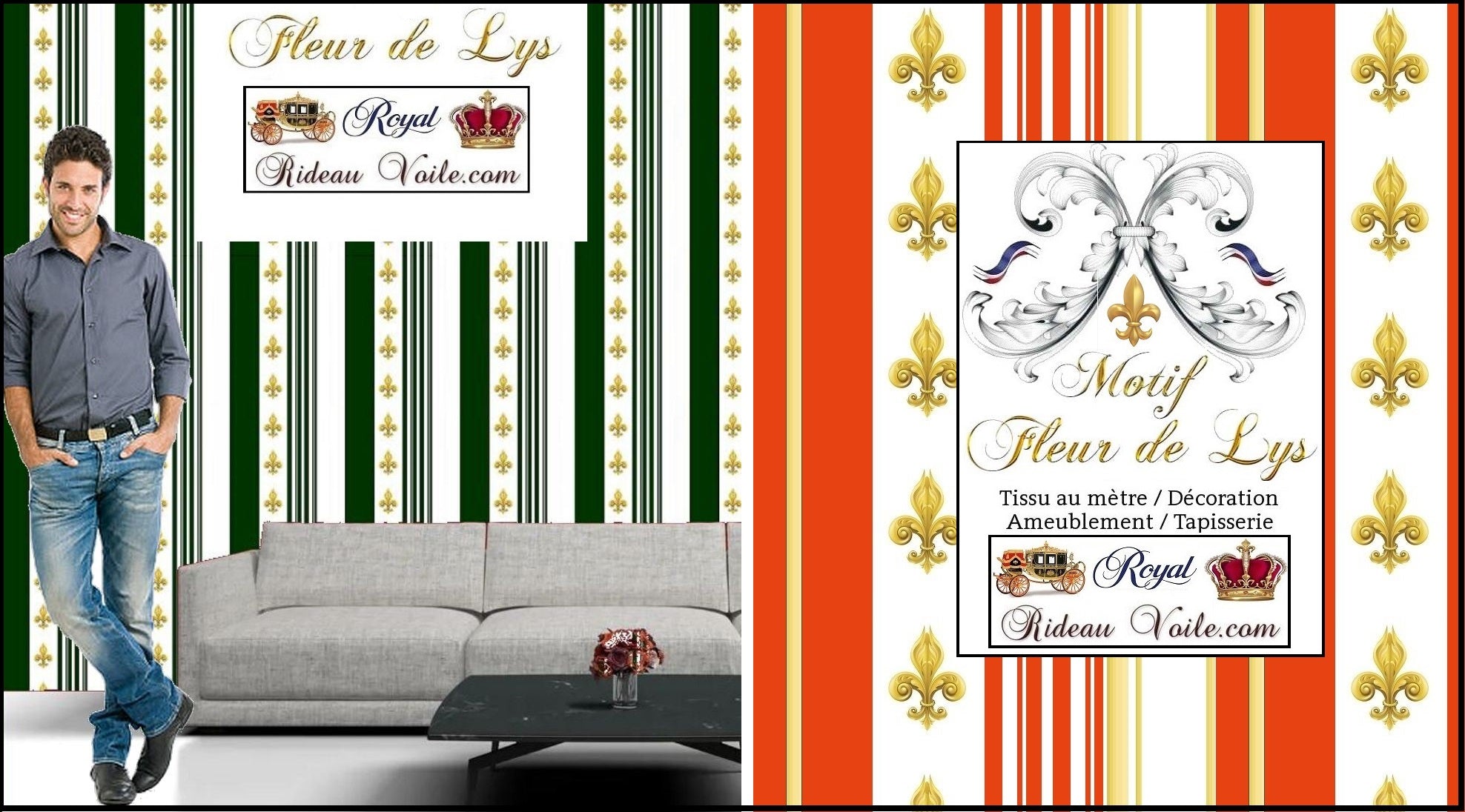 style empire tissu ameublement décoration motif fleur de lys emblème royal tapisserie luxe architecte