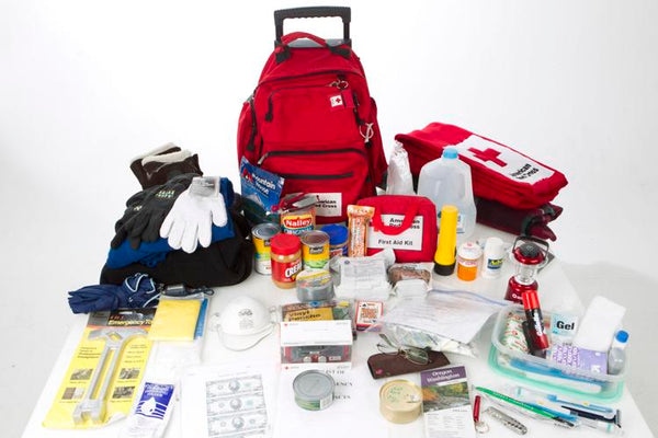 Wildfire emergency kit example