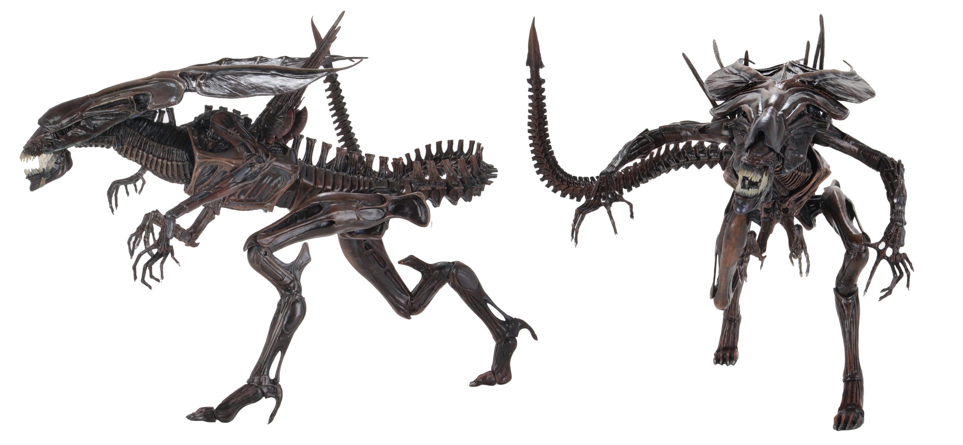 neca alien resurrection queen